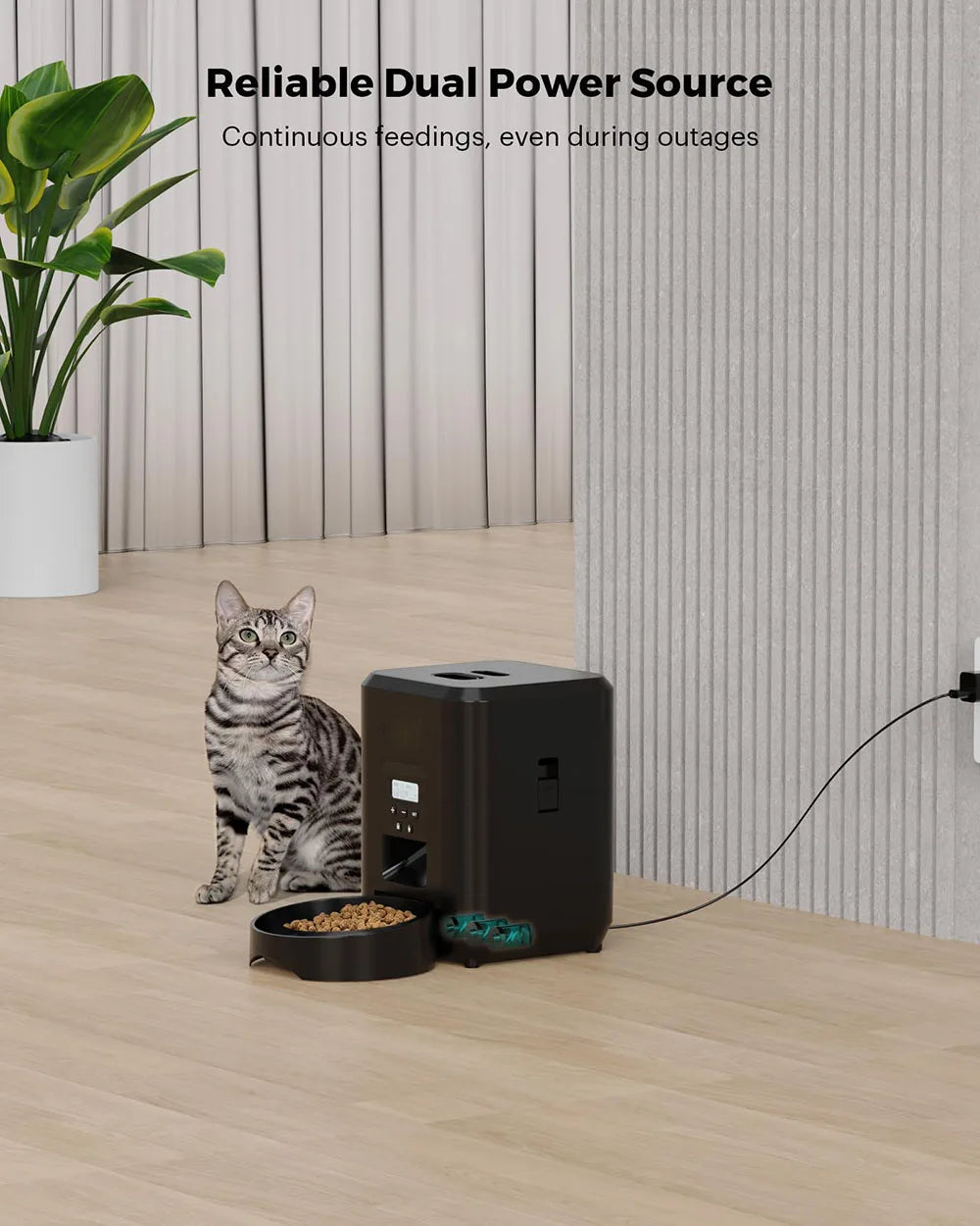 SweetPaw Automatic Feeder™
