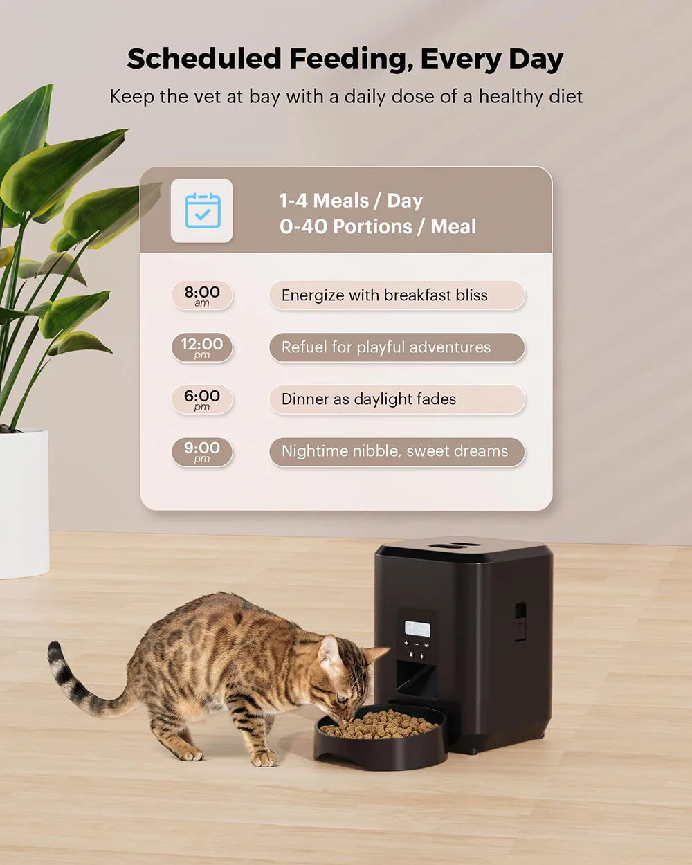 SweetPaw Automatic Feeder™
