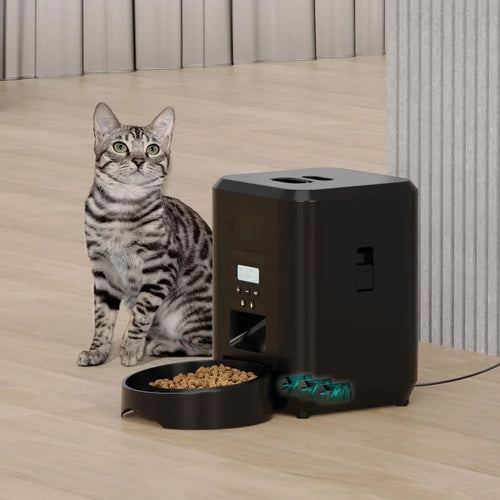 SweetPaw Automatic Feeder™